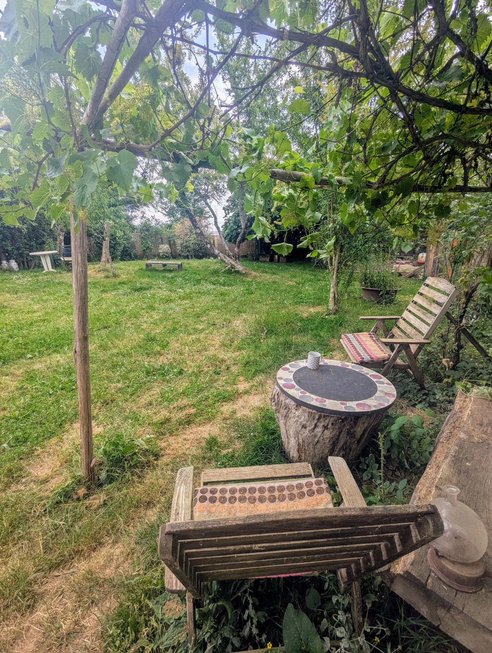 Coin détente avec tronc d’arbre dans le jardin bucolique